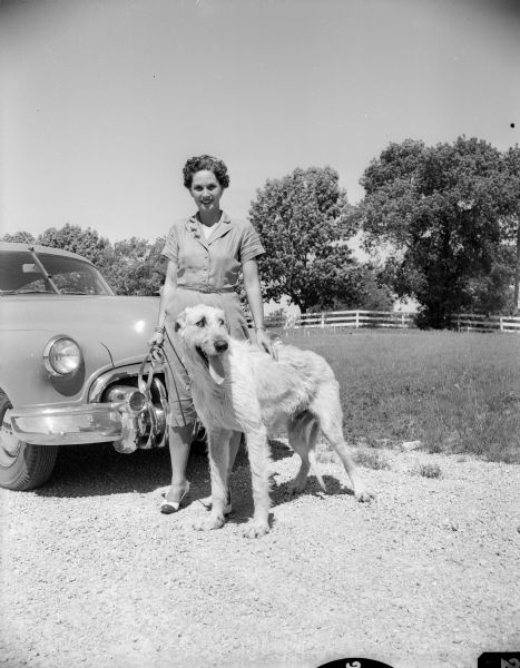 Mrs. C.L. Darling, route 3, Madison, with her Irish wolfhound, "Kilroman of Kellybrachen." The dog will be competing at the Badger Kennel Club dog show.