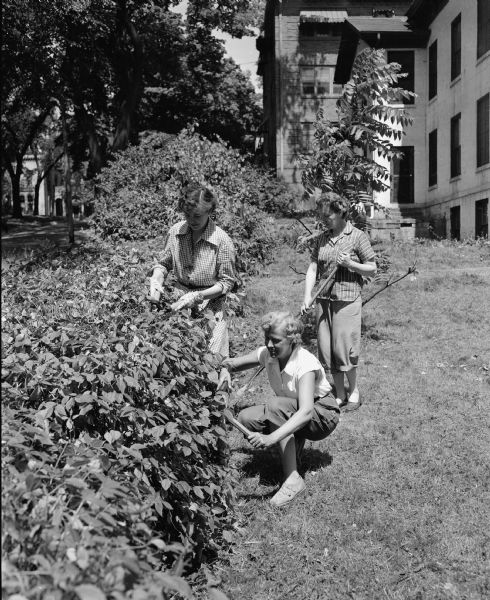 Attic Angel members (plus a few husbands and children) took part in a clean-up party at the former Louis M. Hobbins house at 102 East Gorham Street that the association had purchased for a nursing home. Nettie Chase, Dorcas Nickles (kneeling), and Grace Chatterton trim shrubbery.