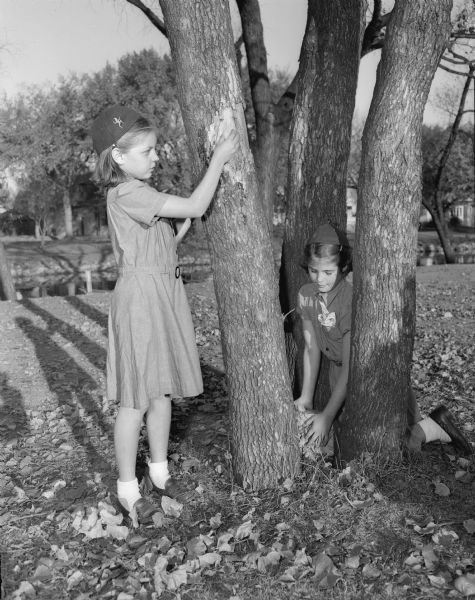 Celebrating Girl Scout week are members of the Brownies troop at Marquette school, Karen Hoffer, daughter of Mr. and Mrs. Alfred Hoffer, 1540 Morrison Street, at left, and Helen Wagner, daughter of Mr. and Mrs. Howard Wagner, 1241 Spaight Street, at right. The two girls are laying an "onion trail" and hiding treats for other members of their Brownie troop, the youngest class of Girl Scouts. Nature study and camping are part of the Scout outdoor program.