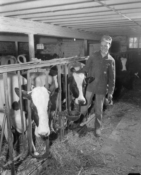 Dairy farmer and member of the Philharmonic Chorus, Donavon Doerfer, standing in his barn next to cows in stanchions.