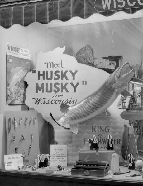 Fishing store window display "Husky Musky" at the Wisconsin Felton Sporting Goods Store.