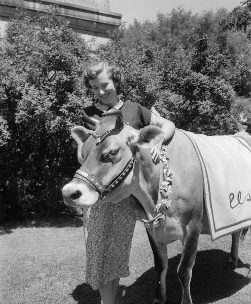 Portrait of Mary Ellen Jenks, the new Alice in Dairyland welcoming Elsie, the famed Borden Company cow to Madison. Elsie is wearing a heavily decorated leather halter around her head and muzzle and a chain with a bell around her horns, and a flowered wreath around her shoulders, while Jenks is wearing a knee-length print dress.