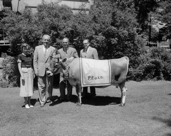 Elsie, the Borden Co. cow with Gov. Walter Kohler, acting mayor Carl Wilhelm, Alice in Dairyland Mary Ellen Jenks and another man. They are posing together on the Wisconsin State Capitol lawn.