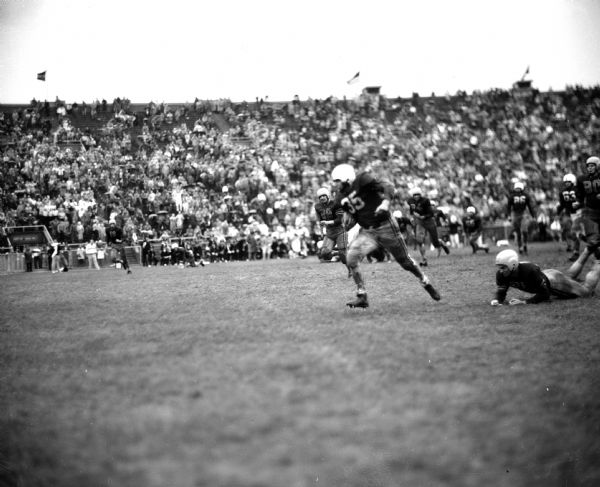 Alan (The Horse) Ameche cuts off tackle and runs to the end zone for the deciding touchdown in Wisconsin vs. Marquette football game. The Marquette players are Sobszak, Frank and Drzewiecki.