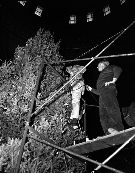 Henry J. Bennett and Lester Schultz installing lights on the state Yule tree from a scaffold in the rotunda of the State Capitol.