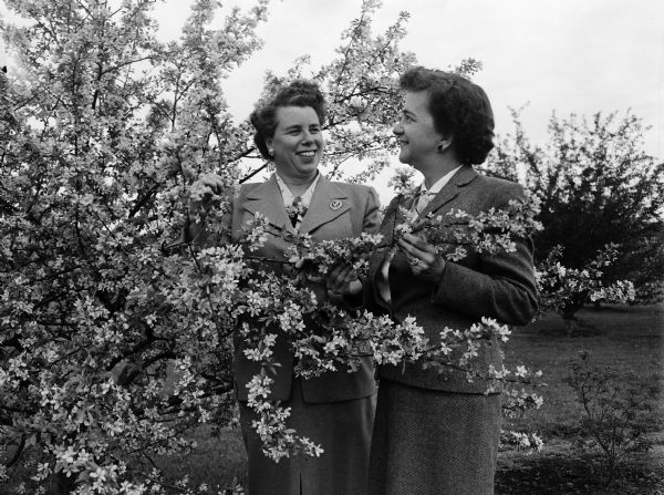 Christina Dana, president-elect of the West Side Garden Club, and Doris Mohs, the retiring president, standing among the Aboretum crab apple blossoms. The Garden Club contributed funds toward the planting of many of the crab apple trees.