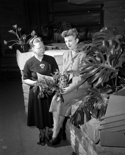 Ruth Harris, left, general chair of the Federated Garden Clubs flower show, and Burdean Struckmeyer, in charge of the flower arrangement schedule, sitting and standing near a stone bench.