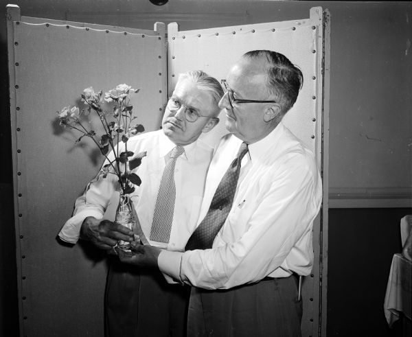 B.F. Konopack of Lockport, Illinois and R.G. Holtz of Western Springs, Illinois, examining some of the hundreds of roses displayed in the first rose show sponsored by the Madison Rose Society at the Women's Club.