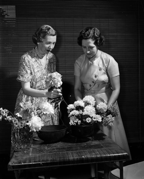 Sisters Margaret Gleason and Mrs. Henry (Harriet) Ahlgren, both of Madison, arrange flowers for the luncheon of the Wisconsin Women's Auxiliary of the State Historical Society. The women served as committee chairmen for the event.