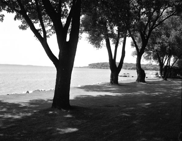 Trees on the shoreline of Lake Mendota, part of the lawn belonging to the Maple Bluff home of H. Stanley and Mary Johnson at 17 Cambridge Court. Their home and garden is included in the annual Attic Angel Home and Garden Tour, a fund raiser to benefit Attic Angel Nursing Home located at 102 East Gorham Street.
