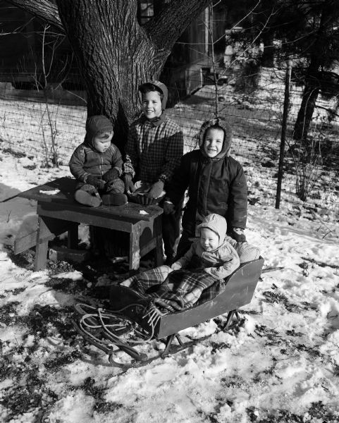 As part of the "doing for others" theme for the Christmas season, the children of Donald and Betty Stroud feed bread to the birds. The children include, from left: Donald, age 21 months; Susan, age 8; Steven (in a sled), age 5, Douglas, age 7 months.