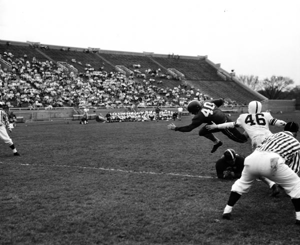 Action shot during the University of Wisconsin spring football game at Camp Randall stadium. Pat Levenhagen, #40, is driving for his second touchdown for the Cardinal team.