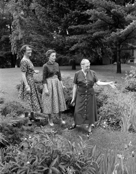 A "lemonade party" was held for the early arrivals to the Theta Sigma Phi National Convention in the garden at the home of University of Wisconsin President Edwin B. Fred and Mrs. (Rosa) Fred, 10 Babcock Drive.
Mrs. Fred points out some of the garden flowers to Mrs. Hughes Frances McCoy (left), 2106 West Lawn Avenue, president of the Madison alumnae chapter of theta Sigma Phi and toastmistress for the Matrix banquet, and Mrs. Kenneth H. (Dorothy) Lindquist, 4345 Crawford Drive, chairman of the garden party.