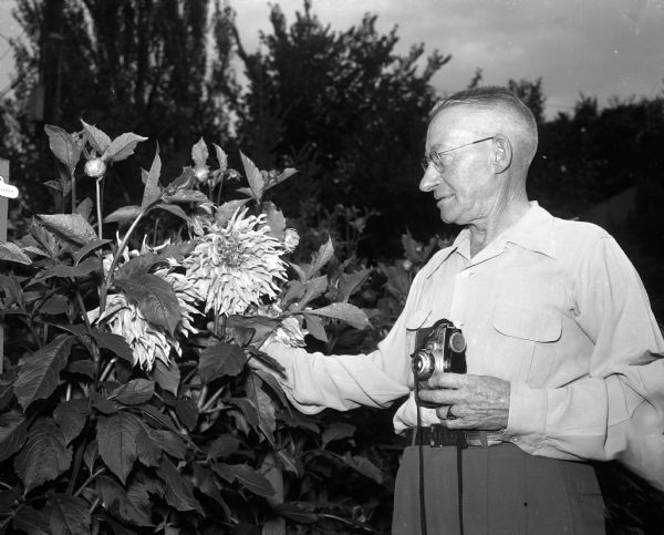 Herman Haugen readies to take a photograph of one his dahlias at his home.