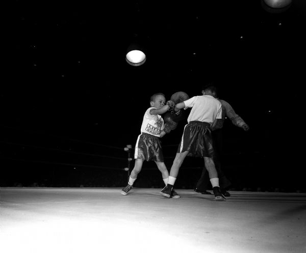 Six-year-old Brian Root (left) and Jim Fischer spar in the "Little Badgers" exhibition contests prior to the Wisconsin-San Jose State boxing match in the University of Wisconsin Field House.