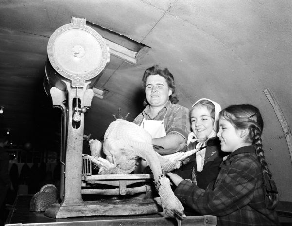 A worker at Frank Lyons Turkey Farm, Verona, is weighing a turkey as two girls are looking on.