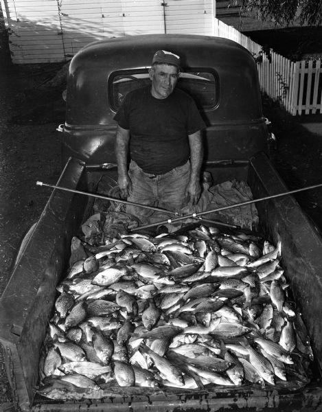 Caption reads: "The Lake Mendota fish population was reduced this week by this fine catch of crappies, white bass, and bluegills by Madison's expert fisherman, Charlie Bran, who is kneeling with his catch." The photograph shows a man kneeling in the back of the bed of his pick-up truck with a pile of, possibly, one-hundred game fish. The photo headline reads,:"Big Haul for Charlie."