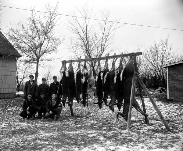 Six deer hunters (left) posing with eight deer and one fox (right) hanging from a rack. The hunting party occurred in Washburn and Bayfield counties. The hunters are, front from left, James McCredie, Melvin McCredie, and Lyle McCredie. In the back row, standing, are Franklin McCredie, Cliff Haney Jr., and Cliff Haney Sr.