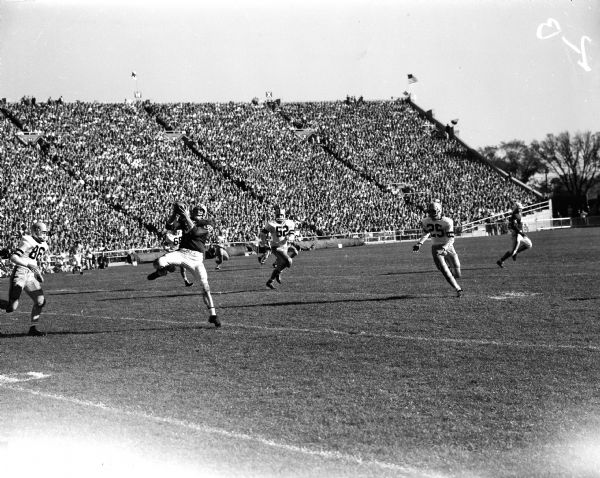 University of Wisconsin's Jon Hobbs catches a pass from Dale Hackbart in the football game against Iowa at Camp Randall Stadium.