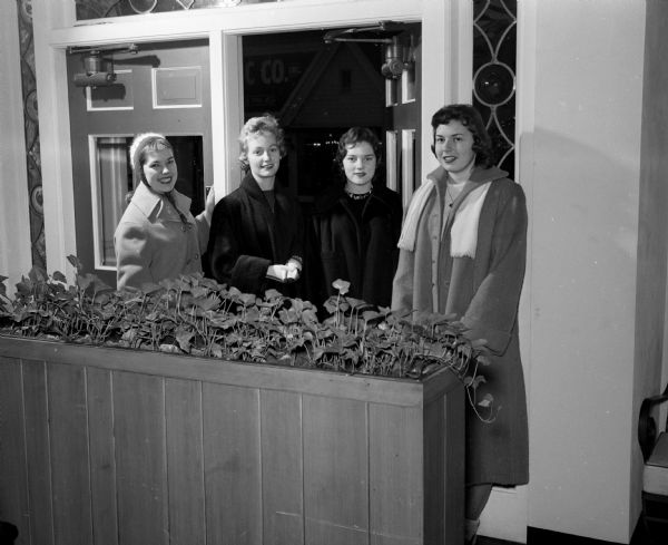 Members of Chi Delta sorority met to plan the decorations for the party at the Ivy Inn. Left to right are Margaret Freed, president; Linda Gaarder, social chairman; Cina Melby and Janet Brandenburg.