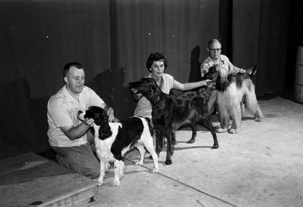A group attending Badger Kennel Club's free class in preparation for a dog show. Participants include, left to right: David Noll with his English Springer Spaniel; Alice Darling with her Irish Setter; and Arno Pitzenberger with his Afghan Hound.