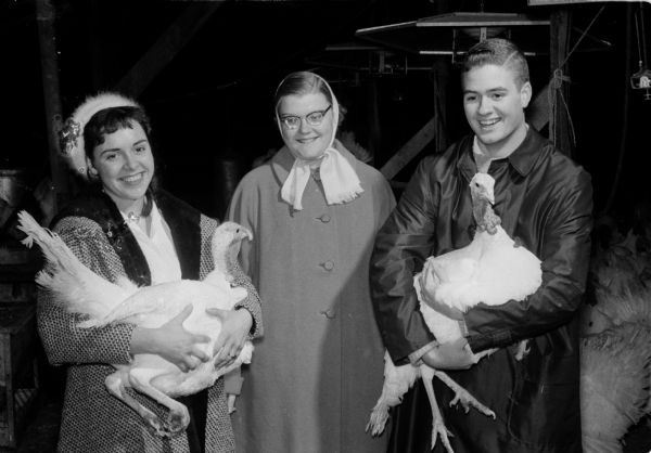 High schoolers choose a mascot for the Thanksgiving eve "Turkey Trot" dance sponsored by the Junior Red Cross. Holding a live turkey on the left is Sandy Weber of East High School. In center is Mary Wallace of Central High School. On right is Bob Rodenfels, holding another live turkey.