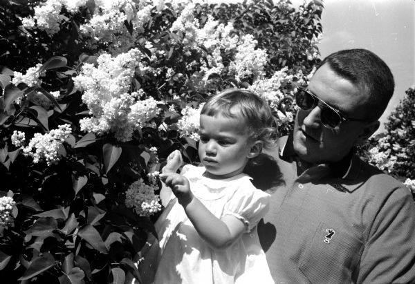 A man holding Kim Kuether (15-months-old) who is looking at lilacs at the University of Wisconsin Arboretum.