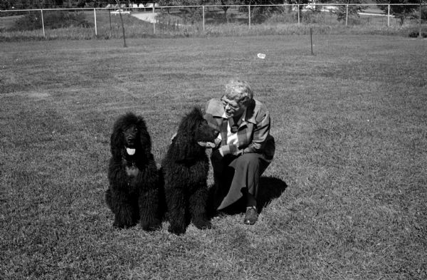 Mrs. Harold Crawford of Stoughton posing with her two Irish Water Spaniels during the all-breed obedience trials sponsored by the Lakeland Dog Training Club of Cambridge.
