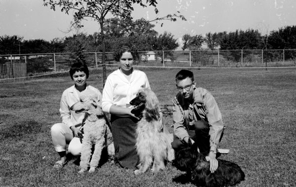 Three contestants posing with their dogs at the all-breed obedience trials sponsored by the Lakeland Dog Training Club of Cambridge. Left to right are Marah Lee with her poodle, Deborah Waskow with her Afghan hound, and Kenneth Wood with his Scottie.