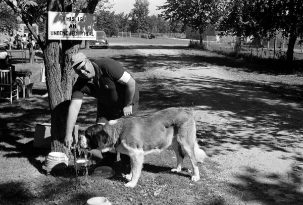 Ted Wade of West Chicago, Illinois, gives a drink to a St. Bernard dog during the all-breed obedience trials sponsored by the Lakeland Dog Training Club of Cambridge.