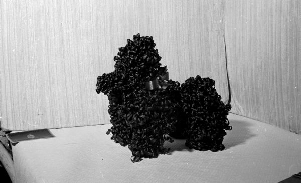 One of the ideas for gift wrapping presented at the Dane County Homemakers annual Christmas tea includes this poodle made of black ribbed paper ribbon.