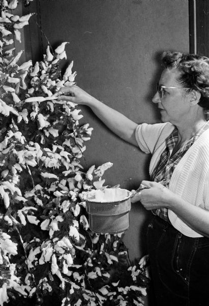 A mixture of soap and water made to the consistency of whipping cream is used to decorate the evergreen trees in front of and inside Madison's Zion American Lutheran Church at 349 Division Street. Mrs. Lewis Knickmeyer applies the mixture to a tree inside the church to give the effect of snow on the tree.