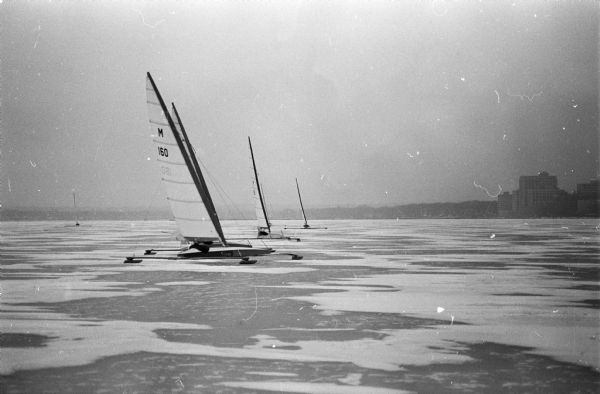 Four Lakes Club iceboats playing follow the leader on Lake Monona.