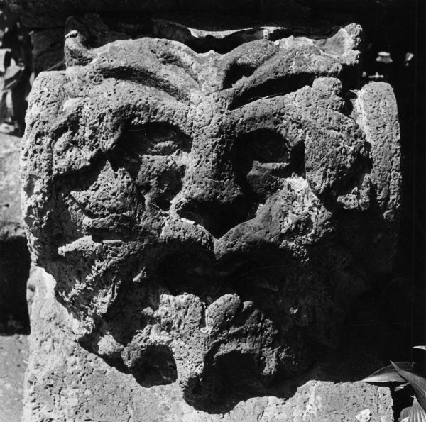 Detail of an animal (or demon?) head from the stone stairway at the corner of North Pinckney and East Gorham Streets.