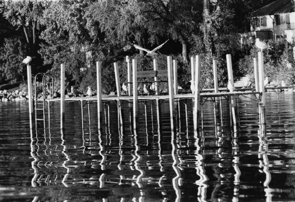 A pier with high posts in Lake Mendota off Maple Bluff.