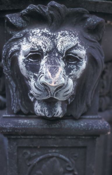 One of 16 lion's heads on the exterior torchere lamps between the entries to the wings of the Wisconsin State Capitol.