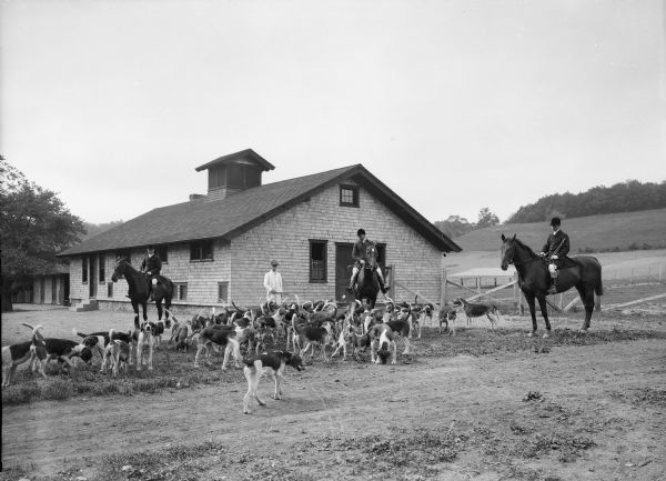 View of men on horseback and dogs preparing for a fox hunt.