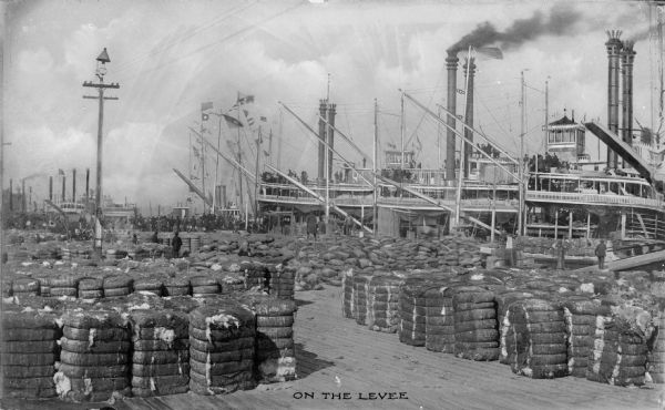 View of the levee with bales of cotton on the wharf. Text on photograph reads: "On The Levee."
