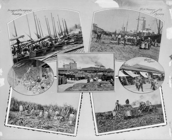 Composite of views showing the French market, sugar refinery and sugar sheds, fishing boats, steamer unloading bananas, and picking and cutting sugar cane in the fields. Text at top left reads: "Lugger (Picayune) Landing." Text at top right reads: "First Steamer Uploading Bananas."