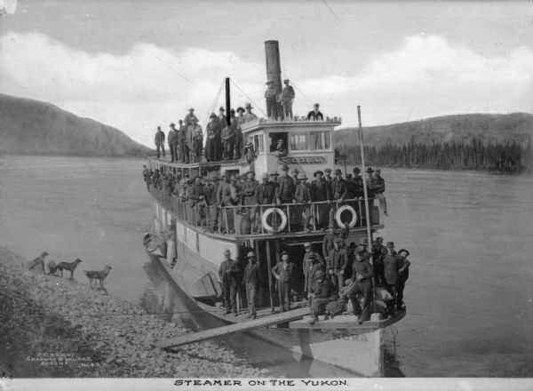 Elevated view looking down at a steamer loaded with passengers on the shoreline of the Yukon River. Several dogs are at the shoreline. Caption reads: "Steamer on the Yukon."
