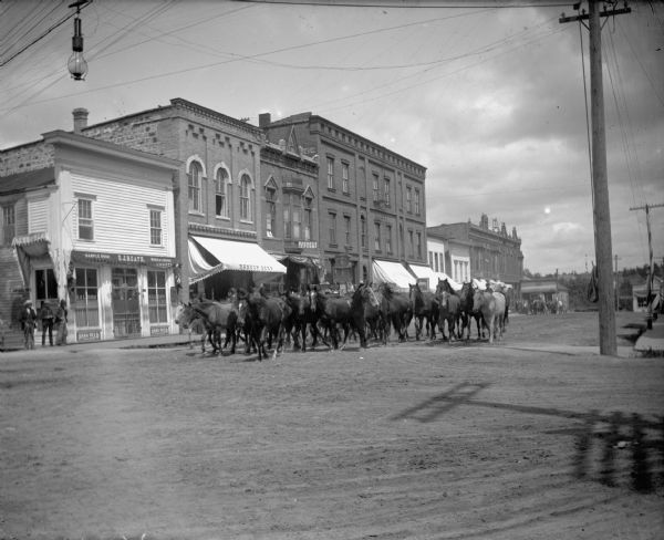 Herd of horses passing through town on Main Street. Western range horses were brought in unbroken and sold to farmers at low prices. Storefronts, identified from left to right: O.J. Heath Saloon, Moses Paquette, and a sign for Dr. Abbott on building.