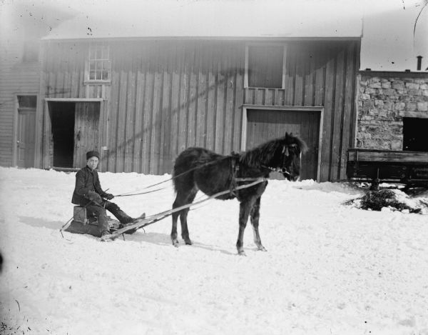 Boy on a small sled pulled by a pony.