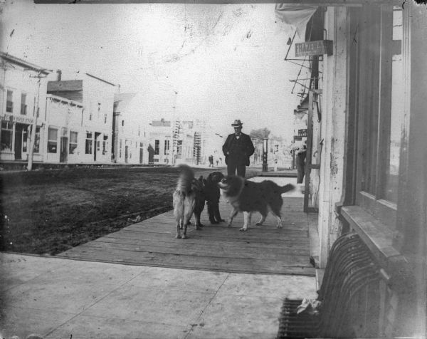 Three dogs and a man standing on a board sidewalk in town.
