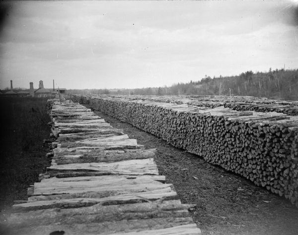 Long lines of stacked logs at the Halcyon Brickyard.