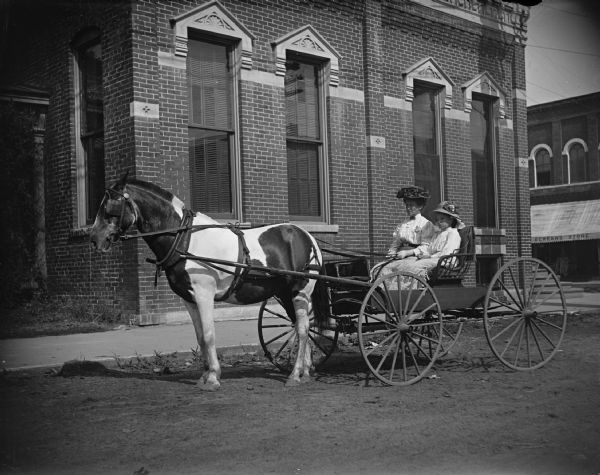 View across unpaved street towards a woman and girl posing in a buggy pulled by a horse. Eckern's Store is in the right background.