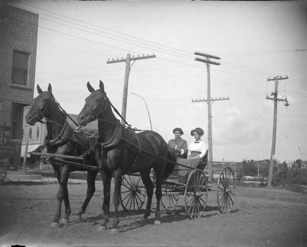 Two women in a buggy driving a team of two horses. The woman on the right is possibly Margie Sprester.