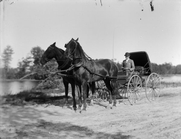 Man in a buggy driving a team of two horses in the country. There may be a river in the background on the left.
