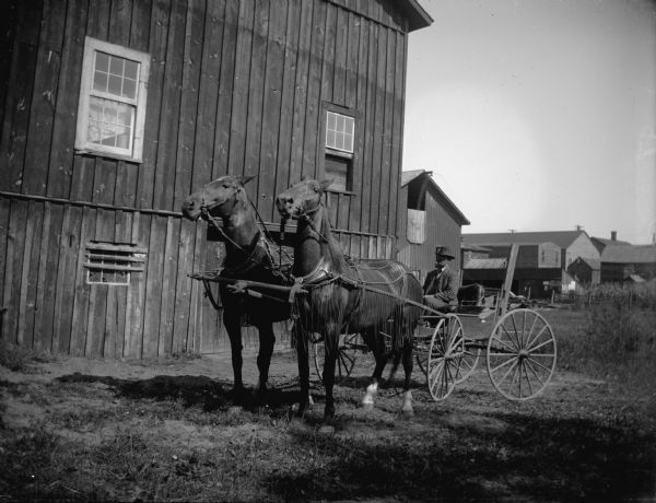 Man in a buggy driving a team of two horses, possibly Abe Bailey. A row of buildings is in the background.