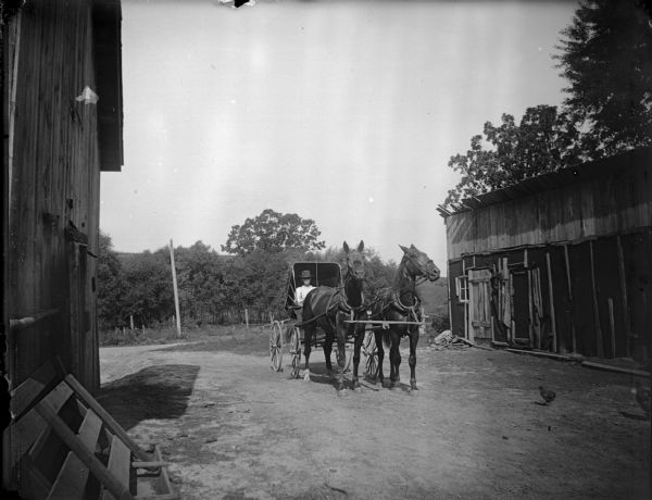 Man in a top-buggy driving a team of two horses, possibly Paul Duxbury in Hixton. There are industrial buildings on the left and right.