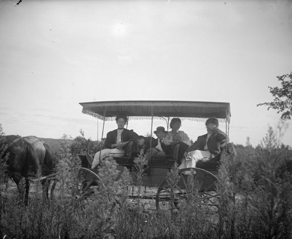 Three women, one holding a bottle, and a man in a three bench surrey and two-horse team.	
